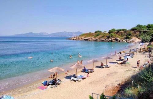 Amalias Place - Foto 70