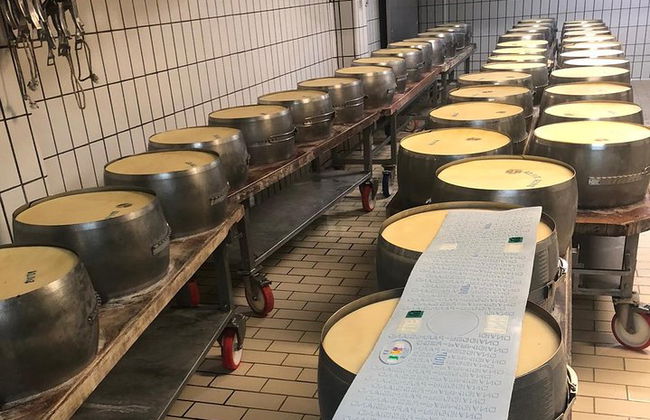 Tour enogastronomico da Bologna - Foto 6