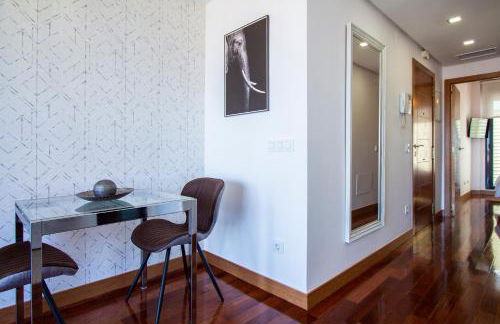 Apartamentos Castilla Luz Business - Foto 19