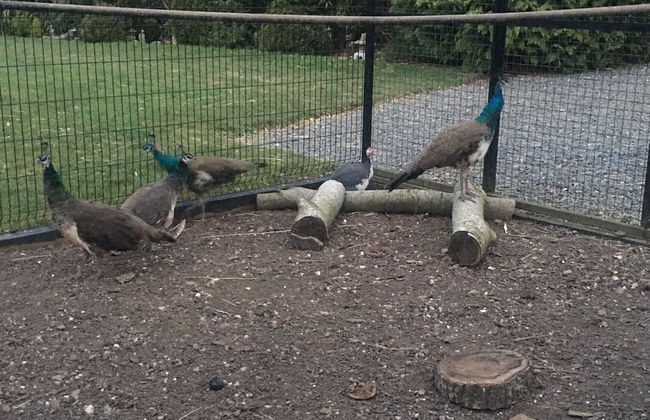 Suffolk Retreats for up to 24 Guests With hot tub - Foto 24