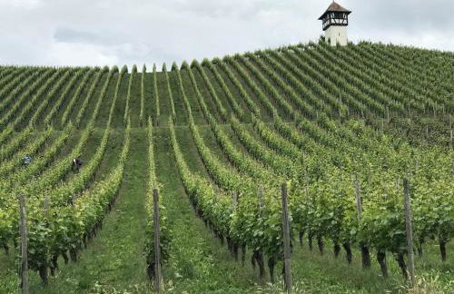 Lakeview Penthouse - Foto 40