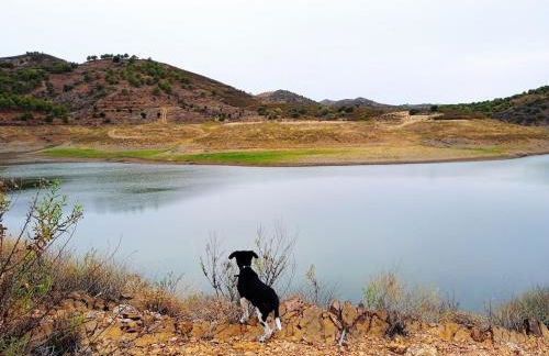 Rustic Village House for Nature & Trekking Lovers - Foto 10