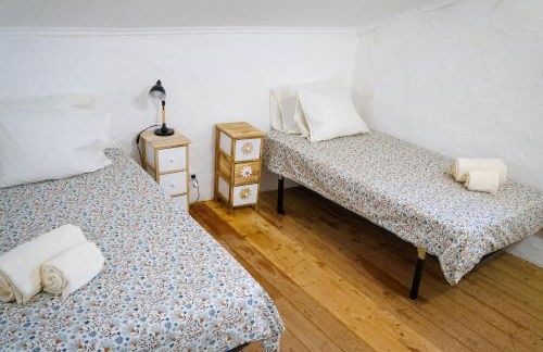 Jardim de Vénus - Foto 21