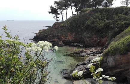 Villa Garance Ile et Villas Groix - Photo 15