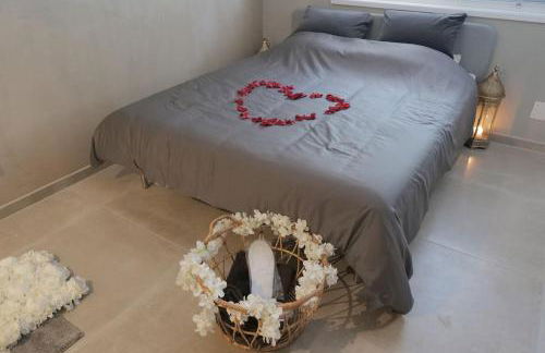 Nid à bulles - Loft 35m2 sauna jacuzzi 10min centre Strasbourg - Foto 13