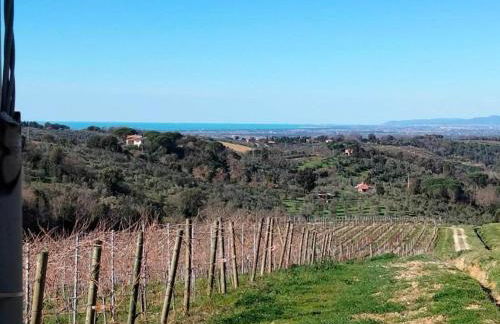 Huge Holiday Home in Marina di Castagneto Carducci near Sea - Foto 107