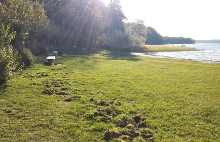 PONTUS Ferienwohnung FeWo2 - Foto 35