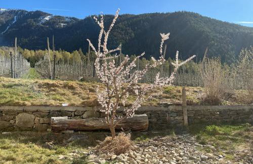 Ferienwohnungen JoJaSa - Foto 1