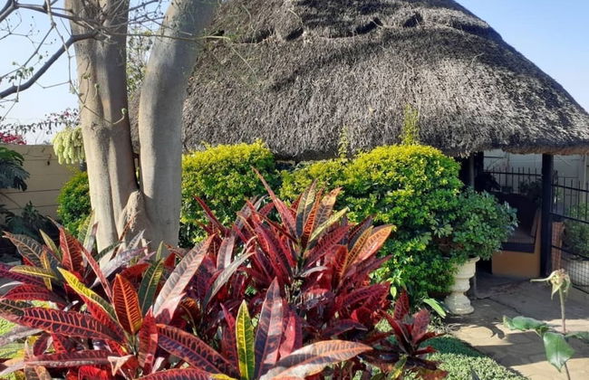 Charming 6-bed House With Swimming Pool in Harare - Foto 27