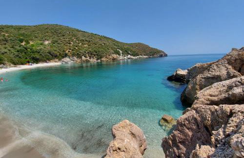 Seagulls - Within walking distance from sea! - Foto 58