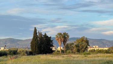 Neo-Residence - Foto 5