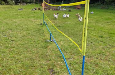 Riverside cottage walking distance into Caernarfon - Photo 26
