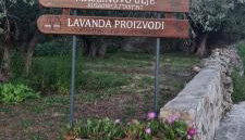 Senkini Dvori - Foto 5