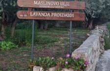 Senkini Dvori - Photo 5