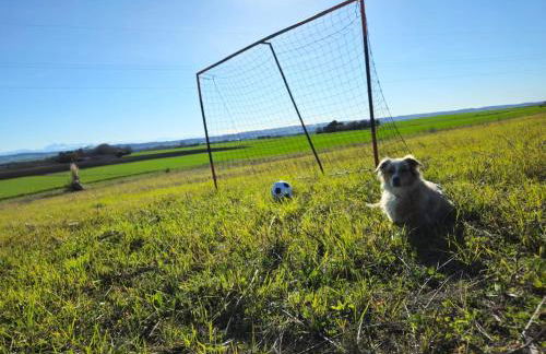 Domaine Saladry - Foto 23