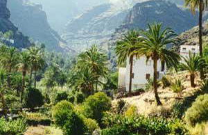 Apartamentos Bellavista Gomera - Foto 37