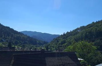 Ferienwohnung Casa Carina - Lautenbach - Foto 24