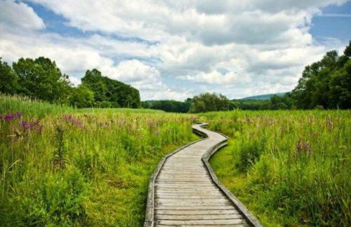 The Appalachian Hotel at Mountain Creek Resort - Pool, Hot Tub & Sauna - Foto 42