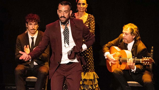Teatro Flamenco Sevilla Show - Foto 3