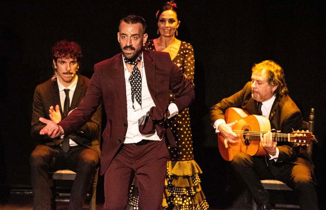 Teatro Flamenco Sevilla Show - Foto 3