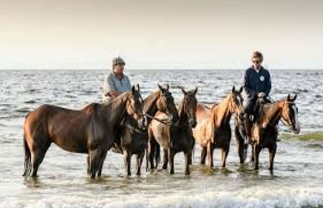 Beach House in a Dream Location on the Beach - Foto 38