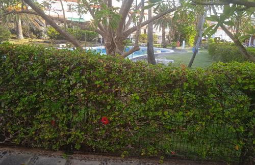 Saltflat2, be surrounded by sun, water and peace - Foto 37