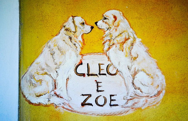 Ars Naturae Biologic Farm - Foto 29