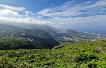 Los viñedos - Foto 3