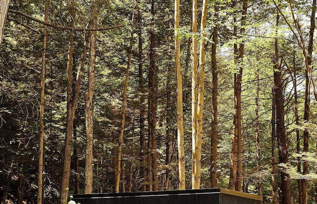 Postcard Cabins Eastern Catskills, Outdoor Collection by Marriott Bonvoy - Foto 1