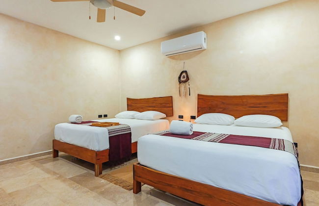 Calea Tulum - Photo 15