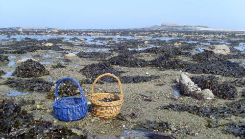 Cap sur Pen ar Valy à Plougoulm - Foto 4