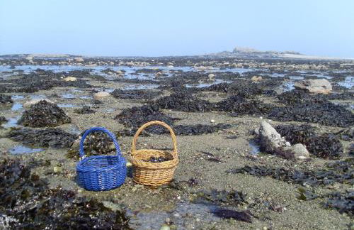 Cap sur Pen ar Valy à Plougoulm - Foto 4