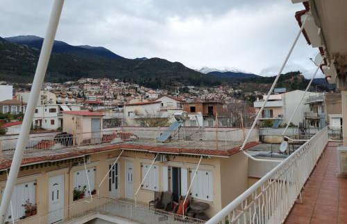 Amfissa Luxury Apartment - Foto 31