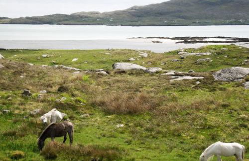 Kilbride Cottage - Foto 17