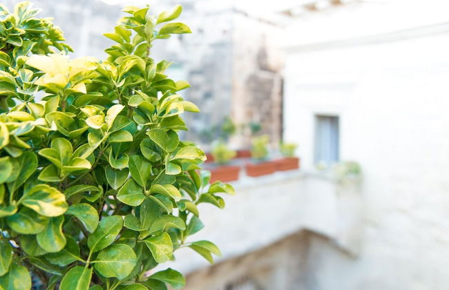 Castromediano Suite Palace - Photo 25