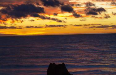 sunrise directly at the sea - Foto 31