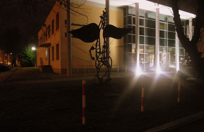 Rint Centrum Kalinowskiego - Foto 13