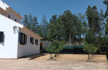 Finca Mis Morenas - Foto 42