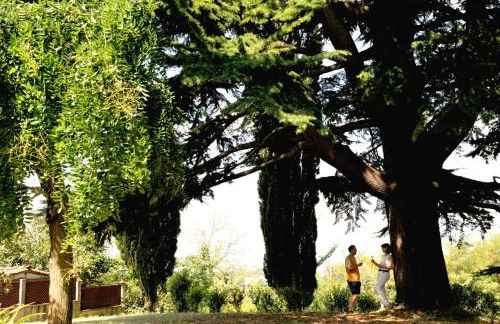 TENUTA MONTEGRANDE 1893 - Foto 62