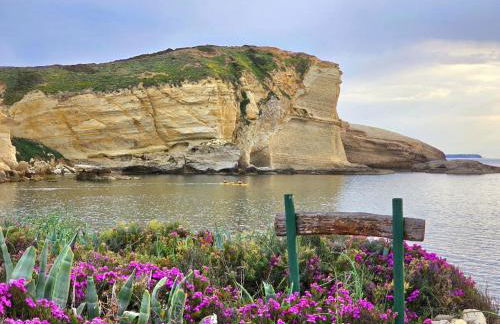 Il Portico Rosa - Foto 80