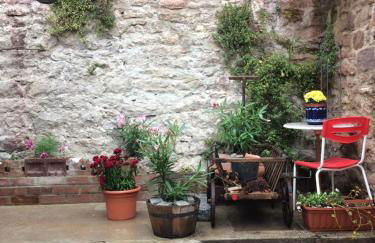 Natur und Neckarblick bei Heidelberg - Photo 47