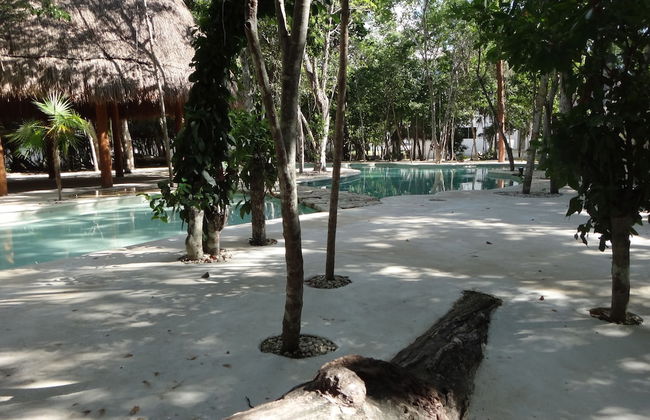 Tropical Paradise Apartment - Photo 21