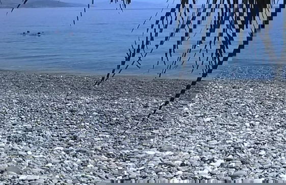 Cozy Apollon Villa, Sea View, Next To Galaxidi - Photo 31