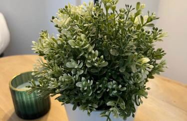 Appartement - cœur de Ramonville - Foto 9