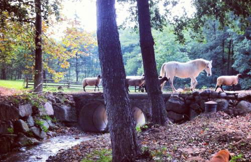 Masía El Moli de Can Aulet - Foto 34