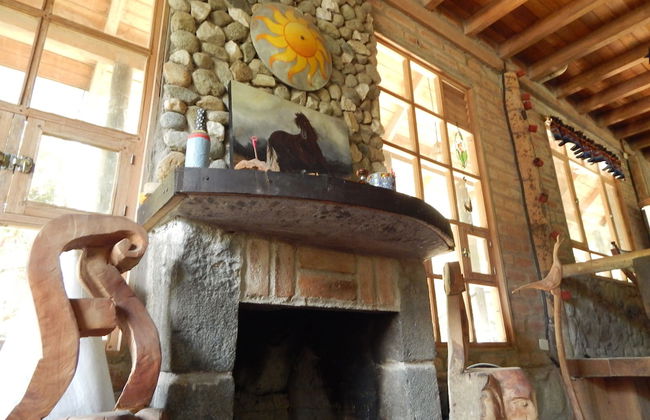 Dogs and Fish Dream Land - Foto 8