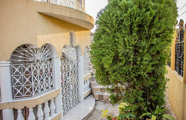 CARNATION 156 - Foto 41