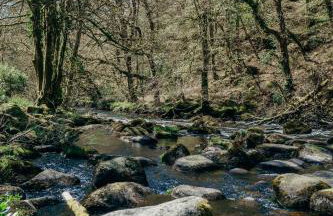 Fox Tor Apartment - Foto 13