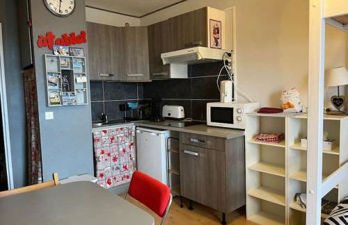 Agréable Studio 3 Places à P2000 Résidence Les Myrtilles - Foto 6