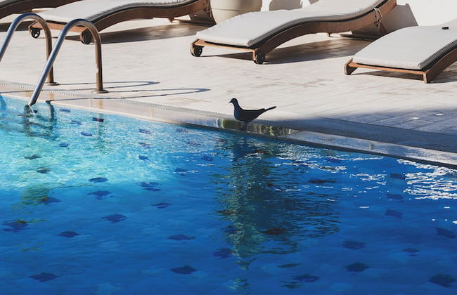 Dalyan Residence & Suites - Foto 60